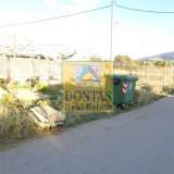  (For Rent) Land Agricultural Land  || East Attica/Acharnes (Menidi) - 6.000 Sq.m, 2.500€ Athens 7506892 thumb2