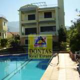  (For Sale) Residential Detached house || Messinia/Avia - 718 Sq.m, 17 Bedrooms, 3.000.000€ Avia 4760173 thumb1