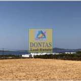  (For Sale) Land Plot || Cyclades/Paros - 8.000 Sq.m, 550.000€ Paros 7760294 thumb0