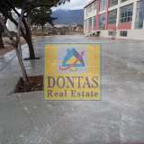  (For Rent) Commercial Small Industrial Area || East Attica/Acharnes (Menidi) - 1.670 Sq.m, 12.000€ Athens 8060003 thumb14