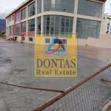  (For Rent) Commercial Small Industrial Area || East Attica/Acharnes (Menidi) - 1.670 Sq.m, 12.000€ Athens 8060003 thumb0