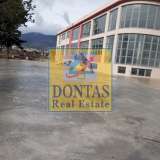  (For Rent) Commercial Small Industrial Area || East Attica/Acharnes (Menidi) - 1.670 Sq.m, 12.000€ Athens 8060003 thumb9