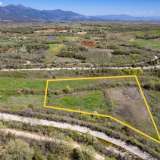  For Sale - (€ 0 / m2), Agricultural 9878 m2 Chrisoupoli 8160352 thumb9