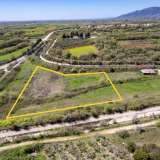  For Sale - (€ 0 / m2), Agricultural 9878 m2 Chrisoupoli 8160352 thumb8