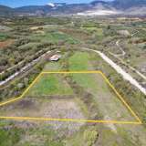  For Sale - (€ 0 / m2), Agricultural 9878 m2 Chrisoupoli 8160352 thumb6