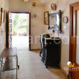  Oportunidad inversores, casa con terreno en Rabasa Alicante 160419 thumb15