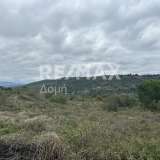  For Sale - (€ 0 / m2), Agricultural 4200 m2 Sipiada 8060523 thumb6
