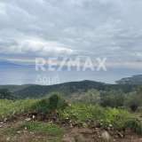  For Sale - (€ 0 / m2), Agricultural 4200 m2 Sipiada 8060523 thumb9