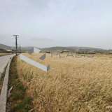  (For Sale) Land Agricultural Land  || Cyclades/Paros - 11.000 Sq.m, 350.000€ Paros 8160564 thumb7