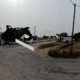  (For Sale) Land Agricultural Land  || Cyclades/Paros - 11.000 Sq.m, 350.000€ Paros 8160564 thumb5