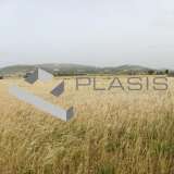  (For Sale) Land Agricultural Land  || Cyclades/Paros - 11.000 Sq.m, 350.000€ Paros 8160564 thumb0