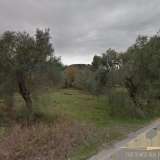  (For Sale) Land Plot || Lefkada/Apollonio - 4.372 Sq.m, 150.000€ Apollonio 8160628 thumb0