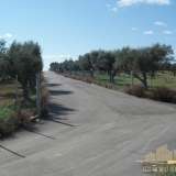  (For Sale) Land Agricultural Land  || Aitoloakarnania/Antirrio - 106.000 Sq.m, 3.000.000€ Antirrio 8160645 thumb6