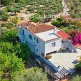  For Rent , Building 280 m2 Spetses 7860825 thumb6