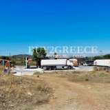  An area for sale in Keratea and specifically in the place Mitrantoni with a total area of â€‹â€‹10,000 sq.m. with a building of 200 sq.m. in an area to be included, ideal for investmentInformation : 00302107710150 â€“00306945051223B Keratea 8160917 thumb5