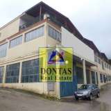  (For Rent) Commercial Commercial Property || East Attica/Malakasa - 3.000 Sq.m, 12.000€ Malakasa 7960919 thumb11