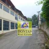  (For Rent) Commercial Commercial Property || East Attica/Malakasa - 3.000 Sq.m, 12.000€ Malakasa 7960919 thumb14