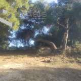  (For Sale) Land Agricultural Land  || East Attica/Artemida (Loutsa) - 230 Sq.m, 18.000€ Athens 7561000 thumb0