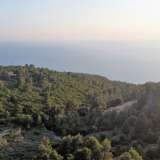  For Sale - (€ 0 / m2), Agricultural 7460 m2 Lefkada 7861675 thumb7