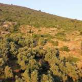  For Sale - (€ 0 / m2), Agricultural 7460 m2 Lefkada 7861675 thumb9