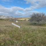  (For Sale) Land Agricultural Land  || Cyclades/Santorini-Thira - 5.267 Sq.m, 180.000€ Santorini (Thira) 7661682 thumb5