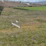  (For Sale) Land Agricultural Land  || Cyclades/Santorini-Thira - 5.267 Sq.m, 180.000€ Santorini (Thira) 7661682 thumb2