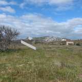  (For Sale) Land Agricultural Land  || Cyclades/Santorini-Thira - 5.267 Sq.m, 180.000€ Santorini (Thira) 7661682 thumb7
