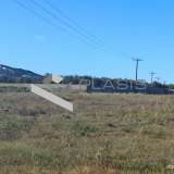  (For Sale) Land Agricultural Land  || Cyclades/Paros - 8.020 Sq.m, 360.000€ Paros 8161682 thumb7