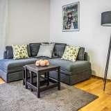  RIJEKA, KRNJEVO-An apartment for business people in a great location Rijeka 8161749 thumb3