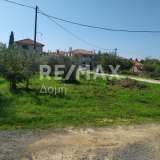  For Sale - (€ 0 / m2), Plot 650 m2 Agria 7961815 thumb8