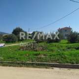  For Sale - (€ 0 / m2), Plot 650 m2 Agria 7961815 thumb1