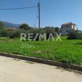  For Sale - (€ 0 / m2), Plot 650 m2 Agria 7961815 thumb4