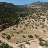  For Sale - (€ 0 / m2), Plot 12000 m2 Sifnos 7961886 thumb2