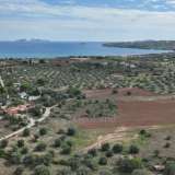  For Sale - (€ 0 / m2), Agricultural 6000 m2 Kranidi 7961892 thumb6