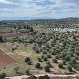  For Sale - (€ 0 / m2), Agricultural 6000 m2 Kranidi 7961892 thumb9
