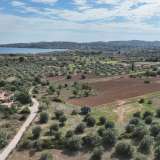  For Sale - (€ 0 / m2), Agricultural 6000 m2 Kranidi 7961892 thumb2