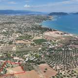 For Sale - (€ 0 / m2), Agricultural 6000 m2 Kranidi 7961892 thumb1
