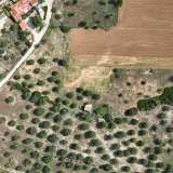  For Sale - (€ 0 / m2), Agricultural 6000 m2 Kranidi 7961892 thumb5