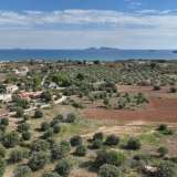 For Sale - (€ 0 / m2), Agricultural 6000 m2 Kranidi 7961892 thumb0