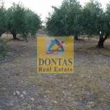  (For Sale) Land Agricultural Land  || Lasithi/Siteia - 100.000 Sq.m, 2.000.000€ Siteia 7661981 thumb2