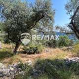  For Sale - (€ 0 / m2), Agricultural 9600 m2 Lefkada 7862460 thumb2