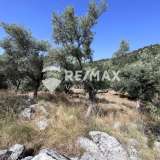 For Sale - (€ 0 / m2), Agricultural 9600 m2 Lefkada 7862460 thumb7