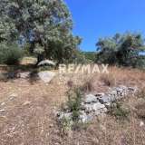  For Sale - (€ 0 / m2), Agricultural 9600 m2 Lefkada 7862460 thumb1