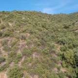  For Sale - (€ 0 / m2), Agricultural 4000 m2 Lefkada 8162495 thumb4