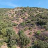  For Sale - (€ 0 / m2), Agricultural 4000 m2 Lefkada 8162495 thumb5
