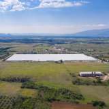  For Sale - (€ 0 / m2), Agricultural 95669 m2 Drama 8162498 thumb5