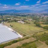  For Sale - (€ 0 / m2), Agricultural 95669 m2 Drama 8162498 thumb1