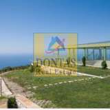  (For Sale) Residential Villa || Lefkada/Karya - 500 Sq.m, 5.500.000€ Karya 8062718 thumb0