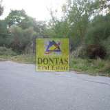  (For Sale) Land Plot || East Attica/Dionysos - 1.500 Sq.m, 600.000€ Dionysos 8162911 thumb2