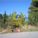  (For Sale) Land Plot || East Attica/Dionysos - 1.500 Sq.m, 600.000€ Dionysos 8162911 thumb0